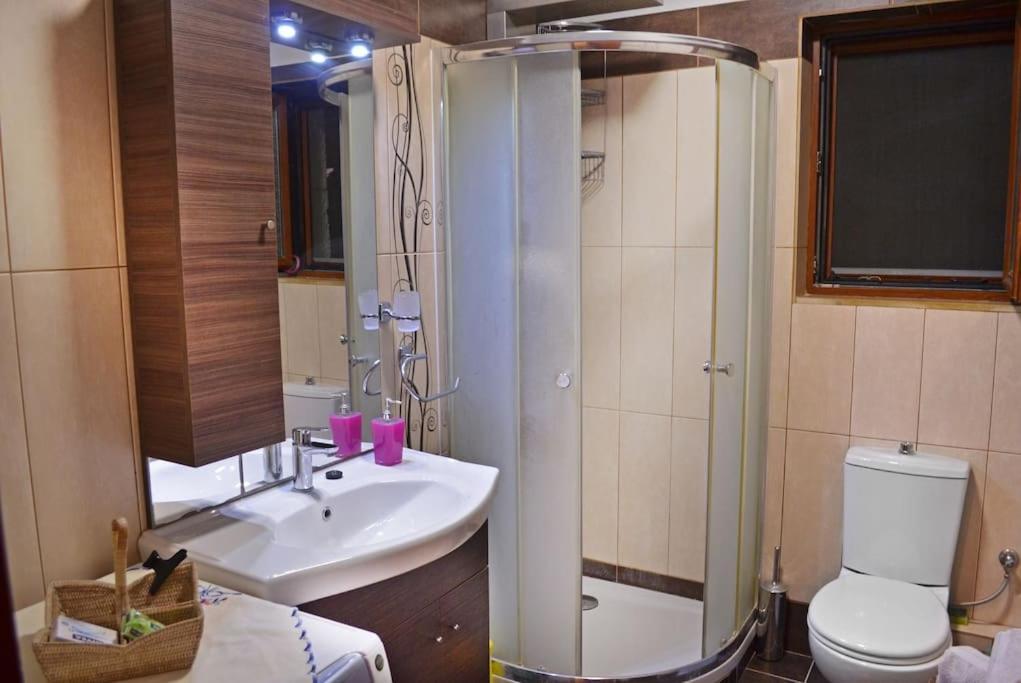 Ferienwohnung Το Πετρινο - Καλοκαιρινό Σπίτι Κοντά Στα Σύβοτα - Φασκομηλια Faskomilia Exterior foto